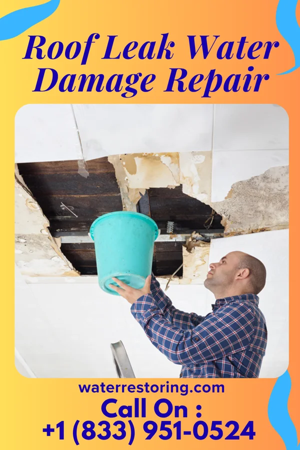 Roof Leak Water Damage Repair in Warren, IL